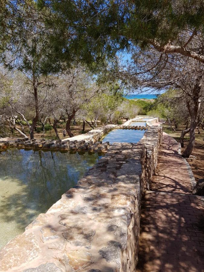 Torrevieja, La Mata 1 Bedroom Apartment Zewnętrze zdjęcie